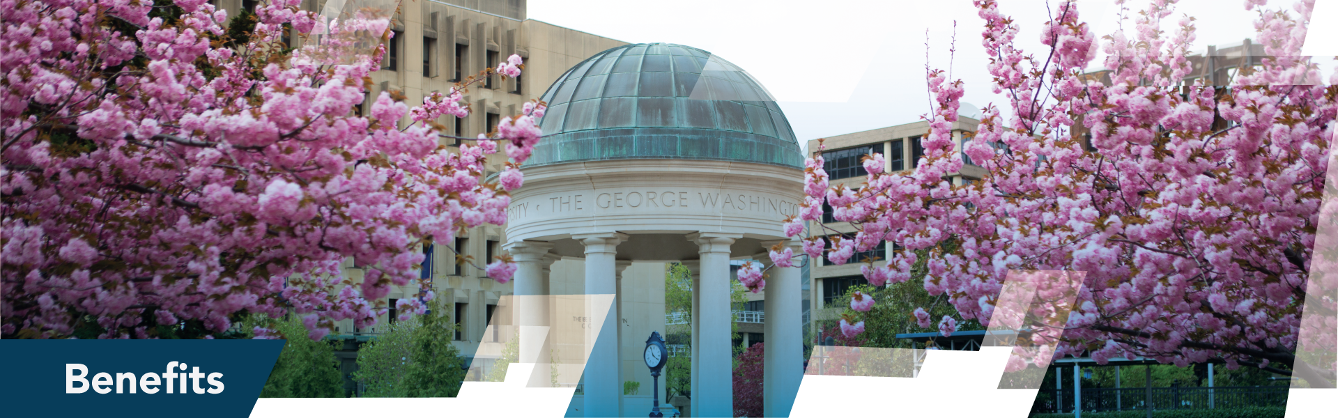 GW campus with cherry trees with the word Benefits