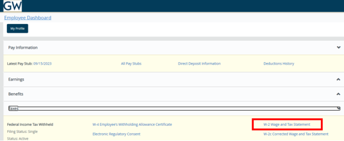 Screenshot taxes expanded red box around W-2 Wage and Tax Statement